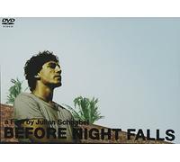 Before Night Falls [Import allemand]