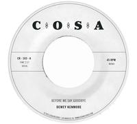 Before We Say Goodbye-Vinyle Transparent