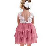 Beganly Robe de fête pour fille - Dentelle - Dos en V - Sans manches - Moelleuse - Tulle - Robe de princesse - Robe de princesse - Robe de demoiselle d'honneur, Rose poussiéreuse multicouche, 4 ans