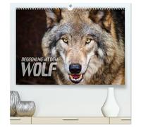Begegnung mit dem Wolf (hochwertiger Premium Wandkalender 2026 DIN A2 quer), Kunstdruck in Hochglanz: Faszinierende Aufnahmen von Wölfen aus verschiedenen Territorien