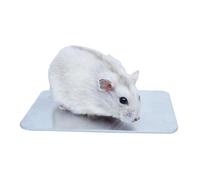 Begeterday Plateau de refroidissement pour hamster 12 cm x 8 cm, un accessoire incontournable pour la cage de hamster en été