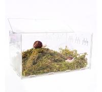 Begeterday Réservoir à escargots avec réservoir à escargots de 28,5 x 20 x 15 cm, 60 g de mousse, jouet d'escalade de 23 cm