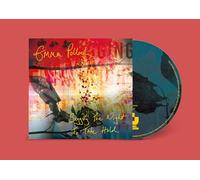 Begging the Night to Take Hold