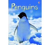 Beginner's Penguins Bone, Emily (Auteur)