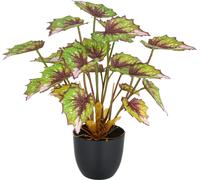 Begonia rex Silver Queen plante artificielle 30cm dans pot plastique 9,5x8,5cm vert