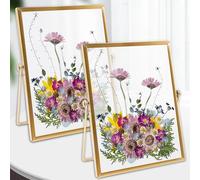 Behogan Lot de 2 cadres photo en verre : 15 x 20 cm Cadre photo en verre métallique, cadre photo en verre rétro, cadre photo d'art pour décoration de bureau à faire soi-même, fleurs séchées œuvre