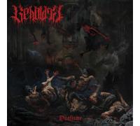 Beholder - Dualisme
