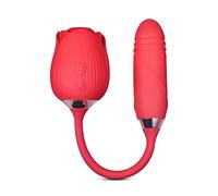 BeHorny Vibromasseur clitoridien avec gode vibrant 10 vitesses rechargeable