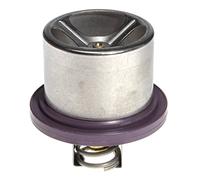 Behr Thermot-Tronik THD 2 89 Thermostat d'eau