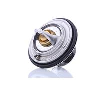 Behr Thermot-Tronik TX 30 80D Thermostat d'eau