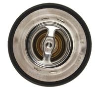 Behr Thermot-Tronik TX 52 92 Thermostat d'eau