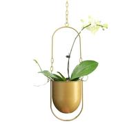 Beihaoer Pot de décoration suspendue en métal boho panier suspendu plafond planteur pour plantes d'intérieur succulentes aériennes cactus (or)