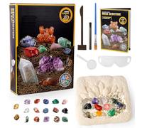 beijieaiguo Kit d'excavation pour enfants, plus de 15 pierres précieuses et cristaux, kit de découverte complet avec guide détaillé, cadeau géologique pour garçons et filles de 6 à 12 ans