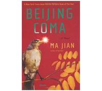 Beijing Coma