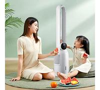BeiLiHe Rafraichisseur d'air Mobile, Ioniseur 3-en-1, Refroidisseur d'air par Evaporation, Silencieux avec Mode Nuit, Humidificateur, Ventilateur, Purificateur, 65W, Chronométrage de 12 Heures
