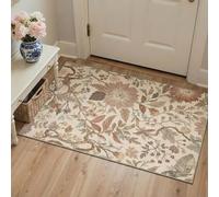 BEIMO Tapis Entree Interieur Vintage 60x90cm Lavable en Machine | AntidéRapant Poil Ras, pour Chambre Salle a Manger Descente de Lit Bureau, Cuisine,Jardin Antique Crème Terre Cuite