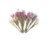 Beimus Cage À Hamster Naturelle Fleurs Colorées Literie Sûre Et Ornement De Nidification Décoratif Bouquets Fleurs Séchées pour Habitat Hamster