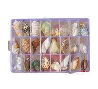 Beimus Coffret De Présentation Coquillages Naturels Organisateurs Bibelots D'étoiles Mer Transparents pour Aquariums Et Décoration Côtière Organisateurs Bijoux D'étoiles Mer