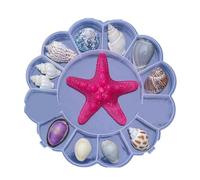 Beimus Coffret De Présentation Coquillages Naturels Organisateurs Bibelots D'étoiles Mer Transparents pour Aquariums Et Décoration Côtière Organisateurs Bijoux D'étoiles Mer