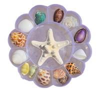 Beimus Coffret De Présentation Coquillages Naturels Organisateurs Bibelots D'étoiles Mer Transparents pour Aquariums Et Décoration Côtière Organisateurs Bijoux D'étoiles Mer