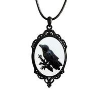 Beimus Collier corbeau avec pendentif en verre - Collier ras du cou punk - Collier avec pendentif corbeau - Pour homme, One Size, Comme décrit, Comme décrit.