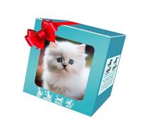 Beimus Robot Câlin en Peluche pour Chats Jouet Qui Marche Et Aboie comme Un Animal pour L'éducation Et L'apprentissage des De Vacances Robotic Cats Plush