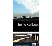 Being Caribou