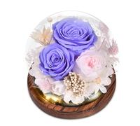 Beinhome Cadeau pour Femme, Rose Eternelle Vraie Faites à la Main en Verre avec LED Lumière, Cadeau pour Maman Grand-mère épouse Sœur Petite Amie, pour Anniversaire Saint-Valentin Noël Fête des Mères