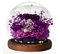 Beinhome Cadeau pour Femme, Rose Eternelle Vraie Faites à la Main en Verre avec LED Lumière, Cadeau pour Maman Grand-mère épouse Sœur Petite Amie, pour Anniversaire Saint-Valentin Noël Fête des Mères