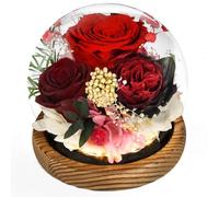 Beinhome Cadeau pour Femme, Rose Eternelle Vraie Faites à la Main en Verre avec LED Lumière, Cadeau pour Maman Grand-mère épouse Sœur Petite Amie, pour Anniversaire Saint-Valentin Noël Fête des Mères