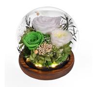 Beinhome Rose éternelle dans Un Verre avec Lumière, Fleurs Infinies Fait à la Main, Cadeau pour Femme Maman Grand-mère épouse Sœur Petite Amie, pour Anniversaire Saint-Valentin Noël Fête des Mères