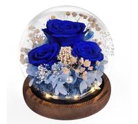 Beinhome Rose éternelle dans Un Verre avec Lumière, Fleurs Infinies Fait à la Main, Cadeau pour Femme Maman Grand-mère épouse Sœur Petite Amie, pour Anniversaire Saint-Valentin Noël Fête des Mères