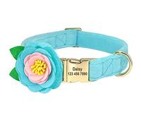 Beirui Collier pour Chien en Velours Doux avec Fleurs Amovibles - Collier pour Chien personnalisé avec Plaque - Adorable Collier pour Chiens de Petite, Moyenne et Grande Taille (Bleu, S)