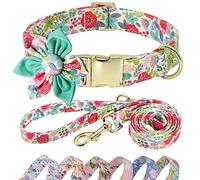 Beirui Ensemble collier et laisse pour mignonne - Collier à motif floral avec fleur pour chiens de petite, moyenne et grande taille, taille M : tour de cou de 33 à 53,3 cm, laisse de 1,5 m,