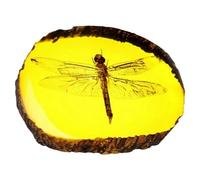 BeisDirect Insectes fossiles d'ambre Libellule Ornements d'insectes polis manuellement spécimen Artificiel d'ambre Pendentif pour la décoration de la Maison, 11x8x2CM