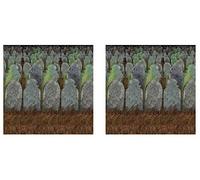 Beistle Toile de Fond pour cimetière 2 pièces, 1,2 x 9,2 m, Multicolore