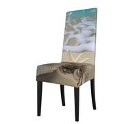 BEIVGOXL Housse de chaise de salle à manger imprimée coquillage de plage - Housses amovibles et lavables pour la plupart des chaises de salle à manger, y compris celles des hôtels, cuisine, fête de