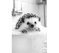 BeiYiHo Poster Animaux Toilette Affiche Mural Noir et Blanc WC Tableau Toile Deco Salle de Bain Affiche WC Humour Photo sans Cadre
