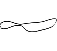 Beko 2962470100 Courroie trapézoïdale à nervures adaptée au sèche-linge