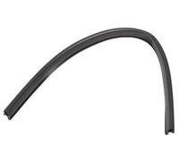 Beko Dss1301 X N inférieur Joint de porte