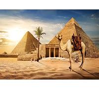 BELECO 1.5x1m Pyramides égyptiennes Tissu Photographie Fond Pyramides d'egypte Antique Fond de Chameau scène du désert de Gizeh Coucher de Soleil Ciel Paysage Egypte Fournitures de fête