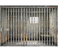 BELECO 2.1x1.5m Tissu Barres de Prison Toile de Fond Toile de Fond Barres de Prison Meurtre Crime Thème Fête Cellule de Police Mugshot Photographie Fond Fête d'anniversaire Décoration Studio Photo