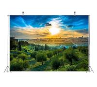 BELECO 2.1x1.5m Tissu Coucher de Soleil Vue de la Vieille Ville de Jérusalem Toile de Fond Mont des Oliviers, Dôme du Rocher, Fond de Paysage Urbain de Jérusalem Accessoires Photo