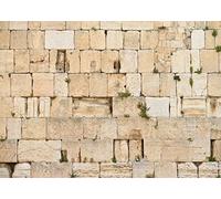 BELECO 2.1x1.5m Tissu Mur Occidental Toile de Fond Jérusalem Mur des lamentations Toile de Fond Judaïsme Vieille Ville de Jérusalem Israël Toile de Fond Église Événement Salle Décor Photo Booth