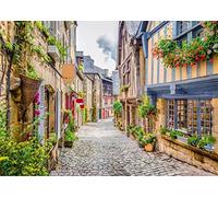 BELECO 2.1x1.5m Tissu Thème Italien Toile de Fond Italie Ville Pavée Rue Ruelle étroite Paysage Italie Photo Toile de Fond Décorations de fête Italienne Portrait Photoshoot