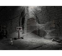 BELECO 3x2.5m Donjon médiéval Chambre de Torture Photographie Fond Sombre Brique Donjon Horreur intérieur Rat crâne Toile d'araignée Ancienne Cellule de Prison Fond