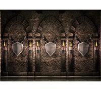 BELECO 3x2.5m Toile de Fond en Tissu Gothique pour château médiéval,Arches murales en Pierre de Brique Ancienne avec épées,Bouclier,Torches,Donjon de Prison,décorations de Fond maléfiques,Photo