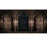 BELECO 6x3m Toile de Fond en Tissu pour Photographie de château Gothique, Arches murales en Pierre Antique, Portes en Fer, Torches, Couloir de Prison, décorations de fête d'halloween