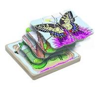beleduc Puzzle à étages Papillon – Jeu éducatif en bois 4 en 1 cycle de vie pour enfants dès 4 ans