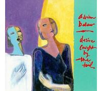 Belew, Adrian - Desire Caught by The Tail